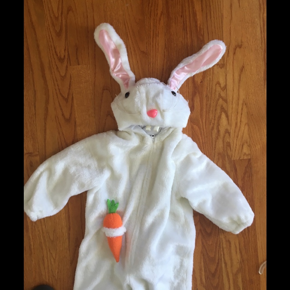 Adorable Bunny Costume like new.